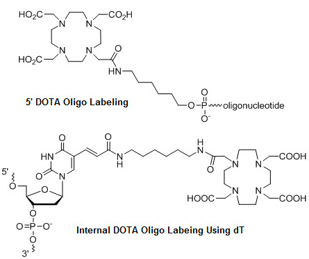 Bio-Synthesis Inc. Oligo Structure